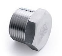 ASTM A105 Forged Hex Head Plug