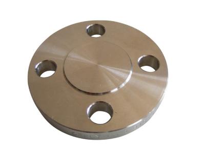 Customized Forged Stainless Steel Large Caliber Flange